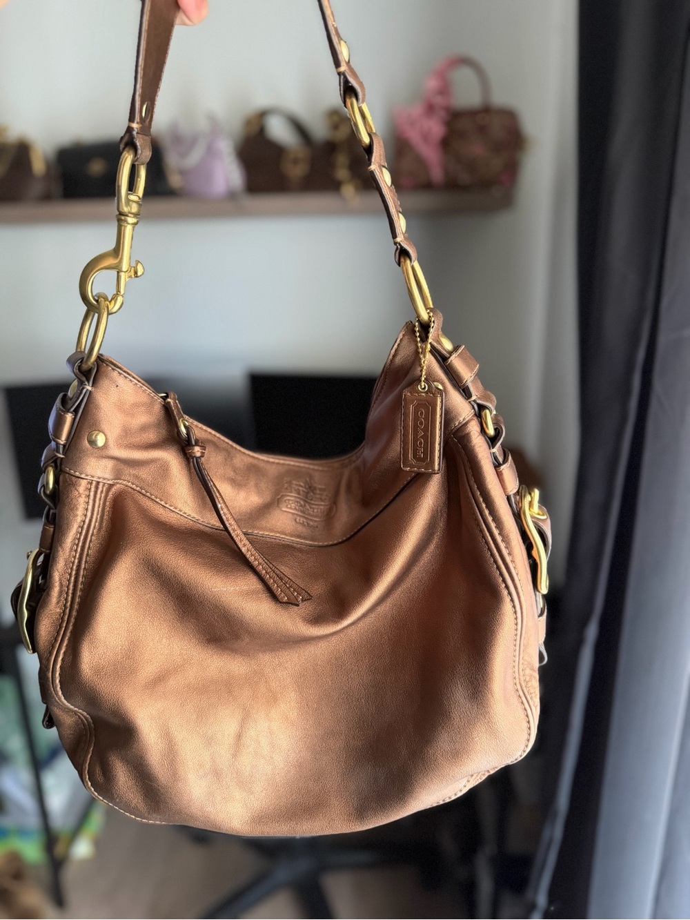 Vintage Coach Metallic Zoe (large)